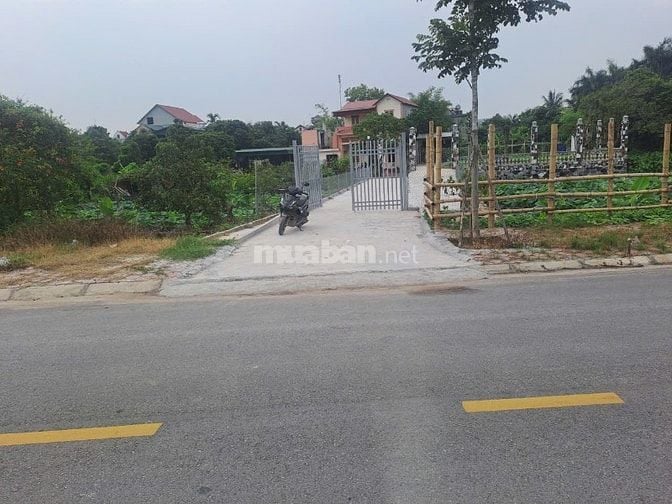 CẦN BÁN 100 - 150M THỔ CƯ TẠI ĐƯỜNG BỜ SÔNG QUÁN TÁO - NAM SÁCH