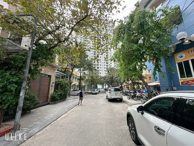 Bán biệt thự phố Nguyễn Cơ Thạch 115m2, khu phân lô, có vỉa hè, ô tô 