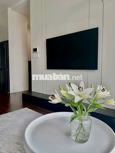 Bán căn 1N+ 47m2 full nội thất tại Vinhomes smart city. Giá 3,5 tỷ