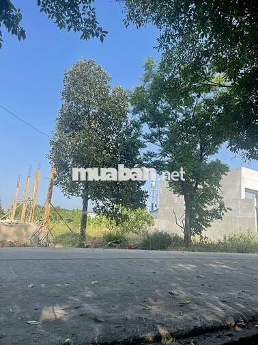 Đất nền KDC Thới Hòa - Bến Cát giá đầu tư 1,399ty