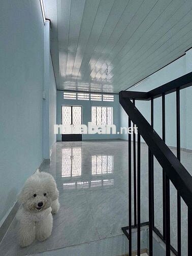 🏡 Cho thuê nhà MT Trần Quang Quá, P. Hiệp Tân, Q. Tân Phú