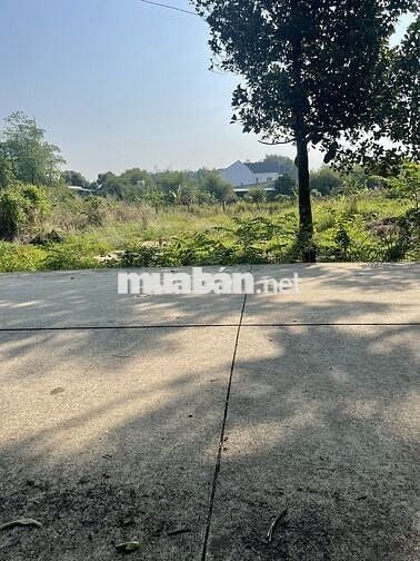 Đất nền KDC Thới Hòa - Bến Cát giá đầu tư 1,399ty