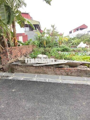 🏡 CHỦ GIẢM Zá MẠNH – CHỈ 2.x TỶ SỞ HỮU ĐẤT FULL THỔ CƯ ĐƯỜNG YÊN 🏡 📌 T