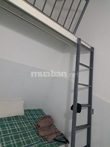 Cần tìm 1 bạn nữ ở ghép Hòa đồng