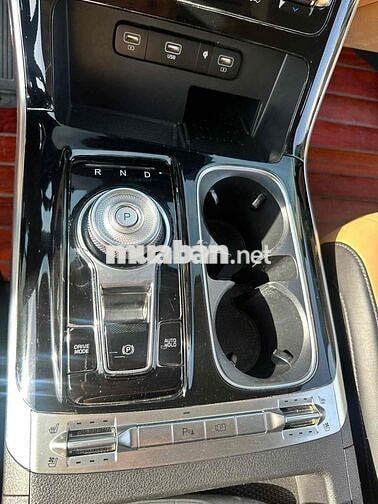 Kia Carnival Premium 2021 Đen 65000km