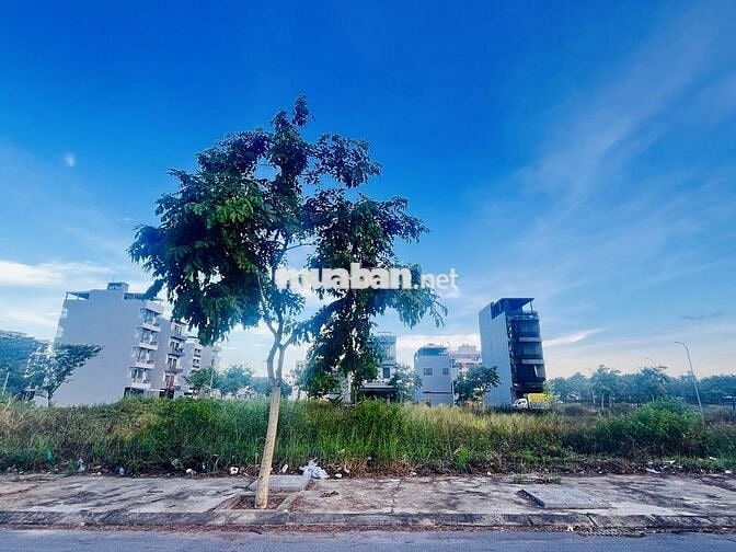 Cần tiền xử lý công việc nên chuyển nhượng đất tại khu đô thị FPT