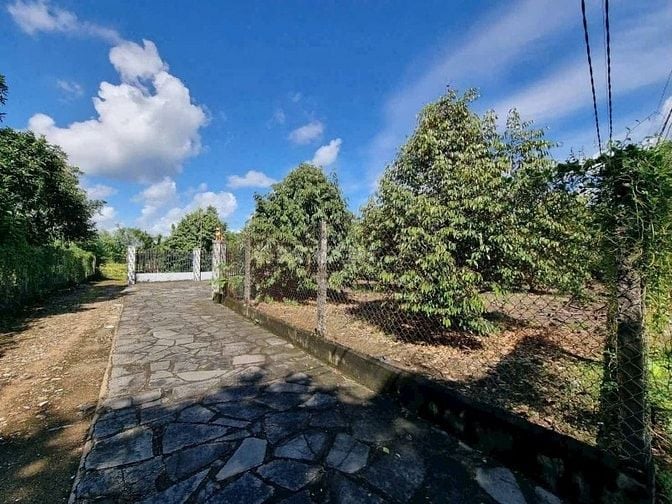 Bán nhà + đất, phường Tân Phú- TP Đồng Nai