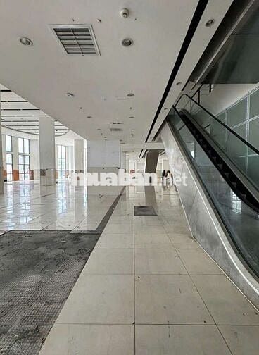 CHO THUÊ 1300M2 ĐẾN 5000M2 DƯỚI CHÂN CHUNG CƯ LẠC LONG QUÂN