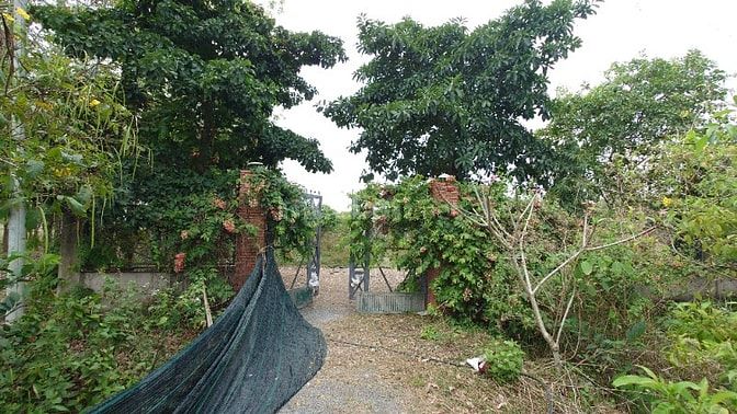 Chính Chủ Bán Gấp Lô Đất Đẹp 1700m2 Đường Trung Lập, Thái Mỹ, Củ Chi -