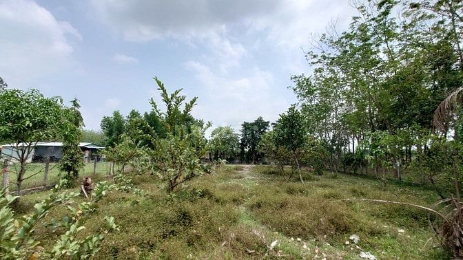 Chính Chủ Bán Gấp Lô Đất Đẹp 1700m2 Đường Trung Lập, Thái Mỹ, Củ Chi -
