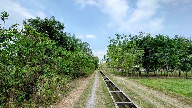 Chính Chủ Bán Gấp Lô Đất Đẹp 1700m2 Đường Trung Lập, Thái Mỹ, Củ Chi -