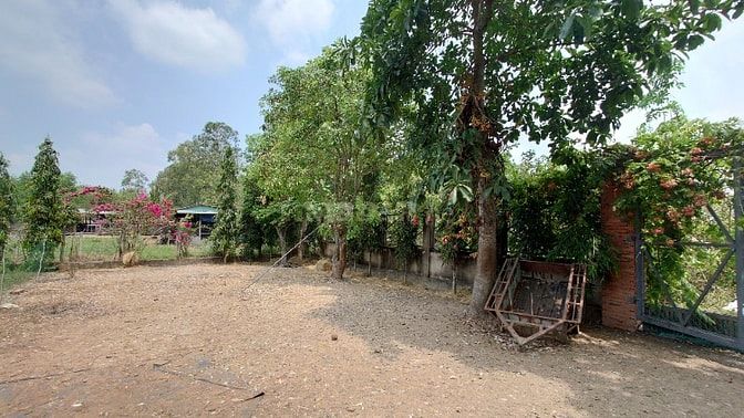 Chính Chủ Bán Gấp Lô Đất Đẹp 1700m2 Đường Trung Lập, Thái Mỹ, Củ Chi -