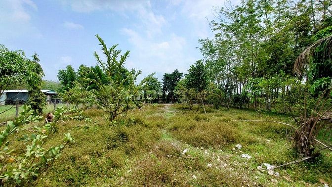 Chính Chủ Bán Gấp Lô Đất Đẹp 1700m2 Đường Trung Lập, Thái Mỹ, Củ Chi -