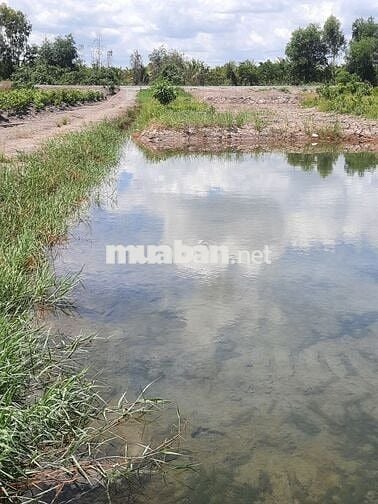 bán đất mặt tiền  kênh 1 xã tân thành .thủ thừa dt 2070m2