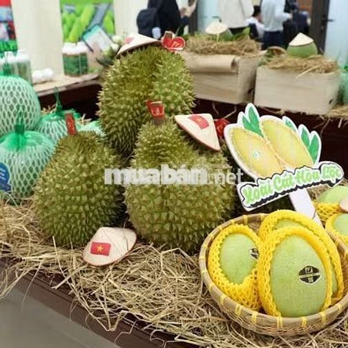 [Đắk Lắk] Nhân viên Vùng trồng