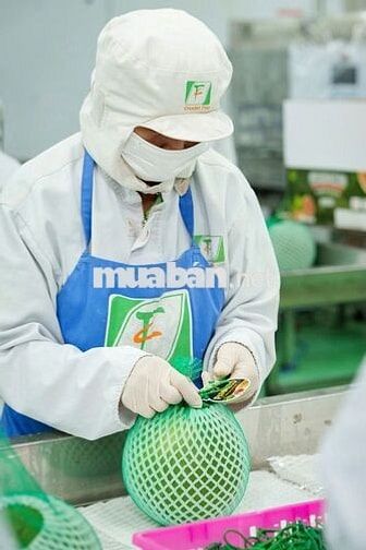[Đắk Lắk] Nhân viên Vùng trồng