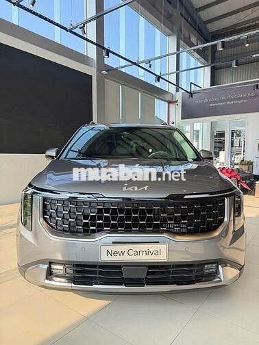 Kia Carnival VIN25 Xám Mới 100%