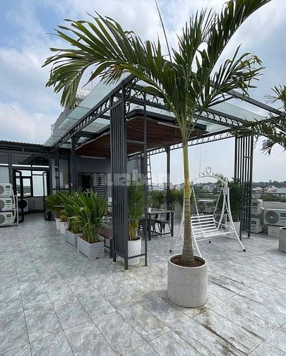 bds dòng tiền - CHDV CAO CẤP_ tòa nhà mặt tiền 