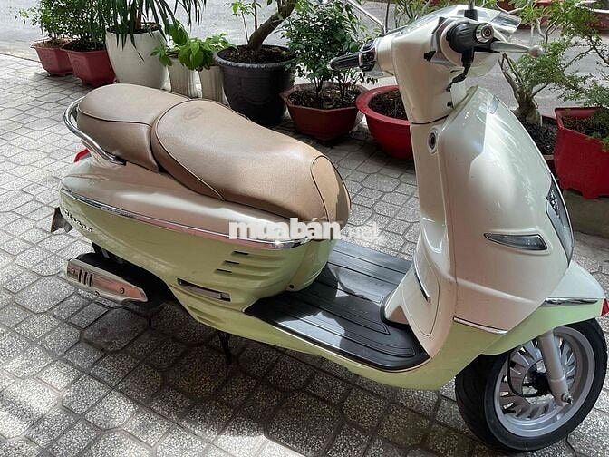 Peugeot Django Trắng kem Đã sử dụng