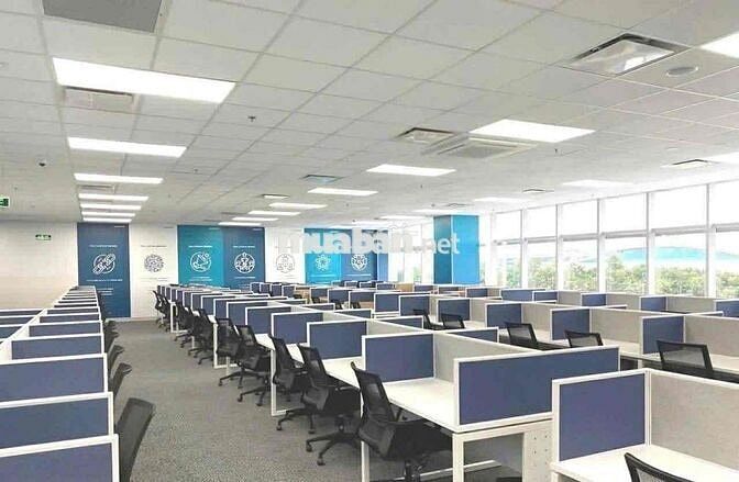TUYỂN VỊ TRÍ NHÂN VIÊN CSKH SAU VAY