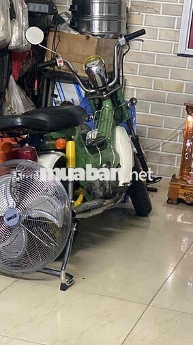 Honda Chaly màu Xanh lá