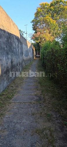 Bán đất trung tâm thị trấn cần thạnh cần giờ TP HCM 
