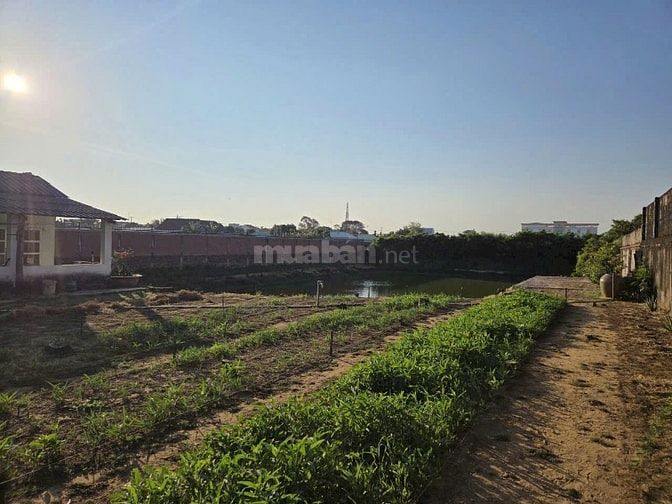Bán đất trung tâm thị trấn cần thạnh cần giờ TP HCM 