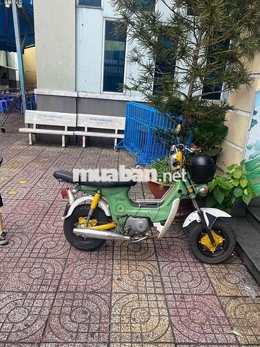 Honda Chaly màu Xanh lá