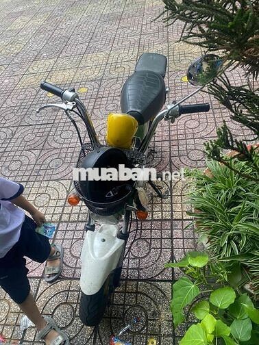 Honda Chaly màu Xanh lá