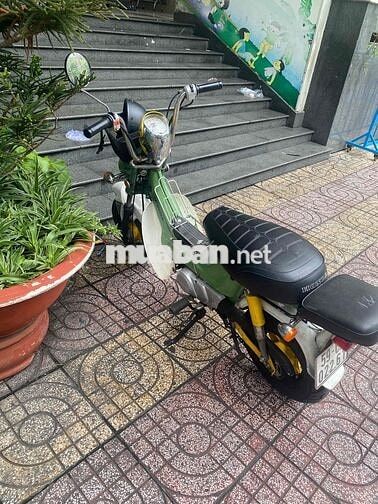 Honda Chaly màu Xanh lá