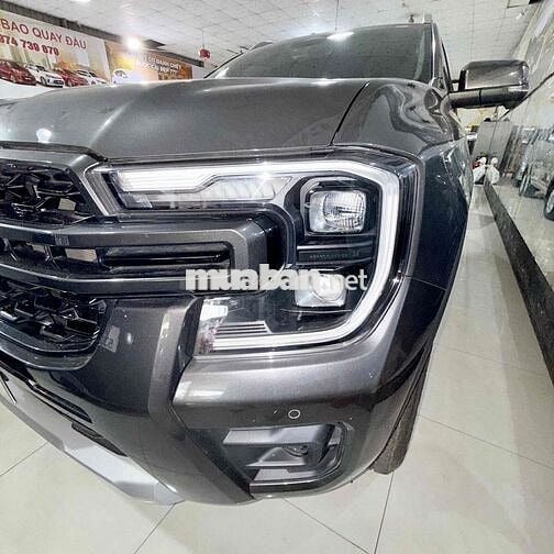 Ford Wildtrak 4x4 Xám
