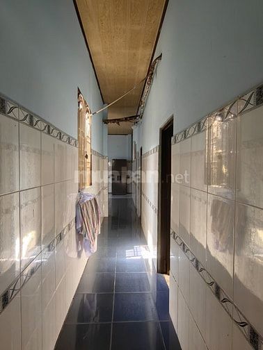 Bán nhà đất gần Trịnh Thị Dối, Hóc Môn – 275m², ngang 8m, giá chỉ 6.6 