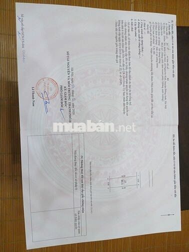 chính chủ gửi bán đất đấu giá X6 Cán Khê xã Nguyên Khê Đông Anh 80m2