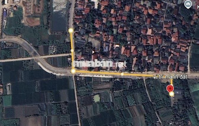chính chủ gửi bán đất đấu giá X6 Cán Khê xã Nguyên Khê Đông Anh 80m2