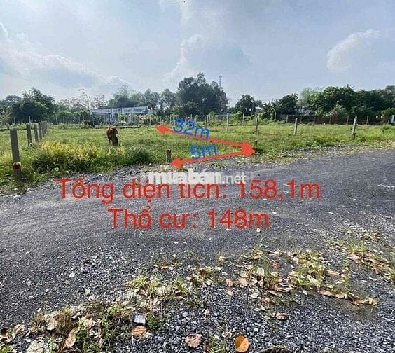 Đất Phước Vĩnh An Huyện củ chi