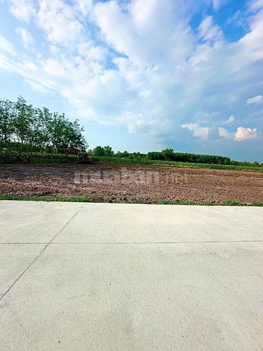 Đất thổ cư gần KCN Hiệp Thạnh. 5x33 đường bê tông. 395tr 