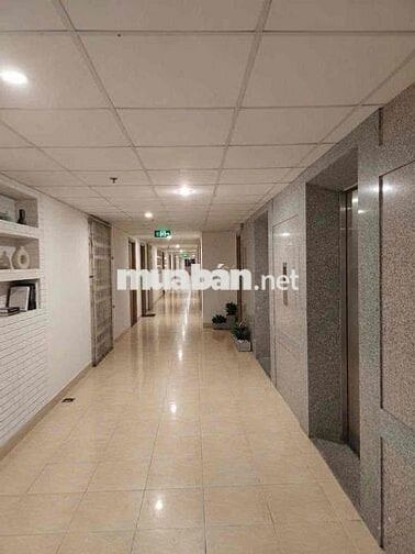 CHÍNH CHỦ BÁN CĂN HỘ CHUNG CƯ PHÚ LỢI D1 - QUẬN 8 (71M2) - SỔ HỒNG