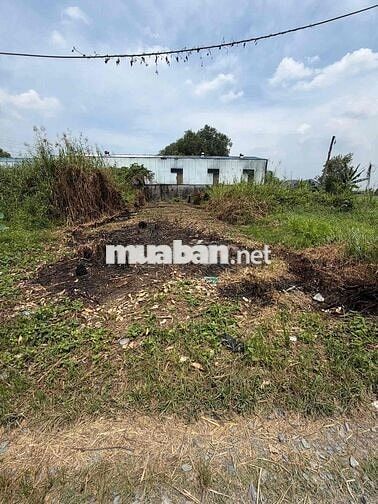Lô đất đẹp hxh đường Bình Mỹ, Củ Chi 200m2 chỉ 2.39 tỷ