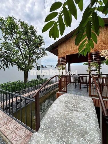 BIỆT THỰ 525M2 FULL THỔ CƯ GẦN TRỤC ĐƯỜNG ĐINH ĐỨC THIỆN 