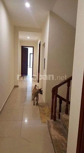 BÁN NHÀ KHU LA THÀNH – GIẢNG VÕ | 118m2 | 7 TẦNG | 23 PHÒNG