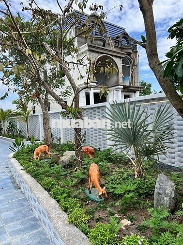BIỆT THỰ 525M2 FULL THỔ CƯ GẦN TRỤC ĐƯỜNG ĐINH ĐỨC THIỆN 