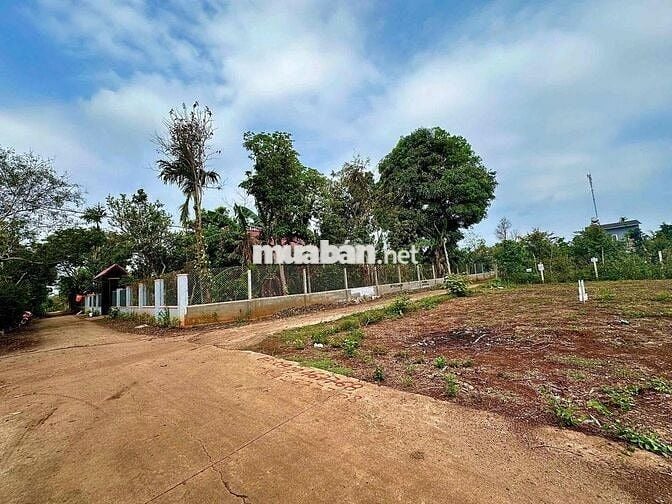BÁN ĐẤT NGUYỄN XUÂN NGUYÊN EANAO A