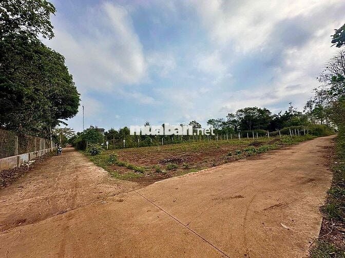 BÁN ĐẤT NGUYỄN XUÂN NGUYÊN EANAO A