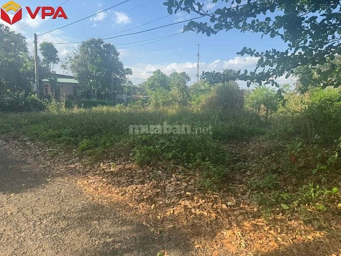 Thông báo đấu giá tài sản bảo đảm của bà Trần Trân Thanh Vân 