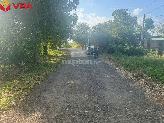 Thông báo đấu giá tài sản bảo đảm của bà Trần Trân Thanh Vân 