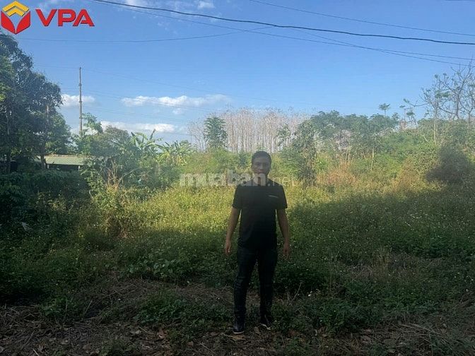 Thông báo đấu giá tài sản bảo đảm của bà Trần Trân Thanh Vân 