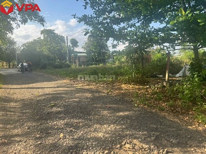 Thông báo đấu giá tài sản bảo đảm của bà Trần Trân Thanh Vân 