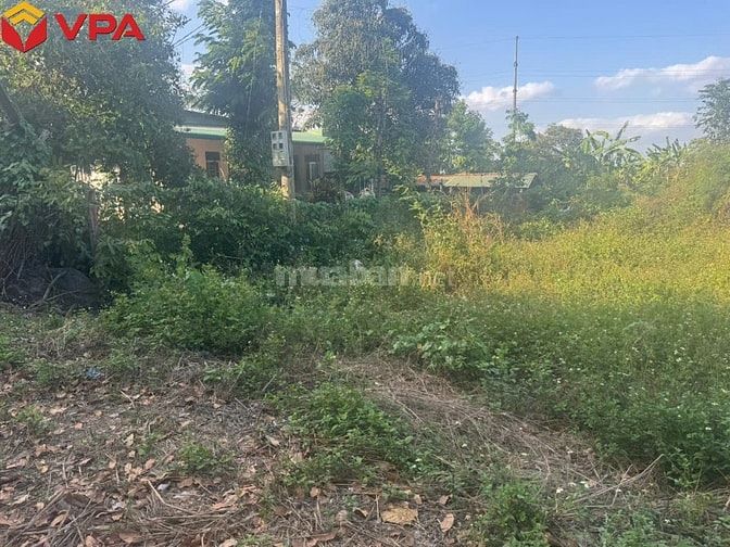 Thông báo đấu giá tài sản bảo đảm của bà Trần Trân Thanh Vân 