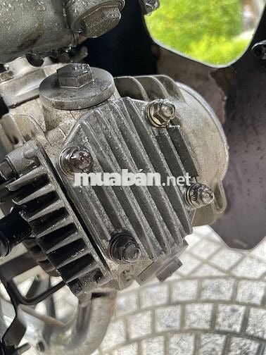 Honda Dream màu Đỏ mận