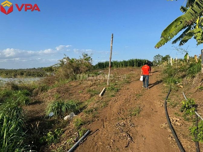 Thông báo đấu giá tài sản bảo đảm của bà Trần Trân Thanh Vân 